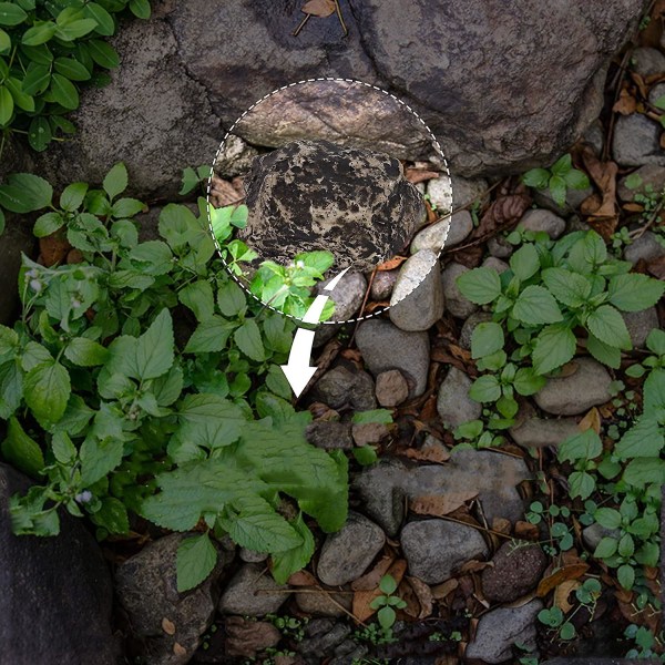 Dölj reservnyckel Fake Rock Grey Camouflage Stone Säker för trädgårdsgården