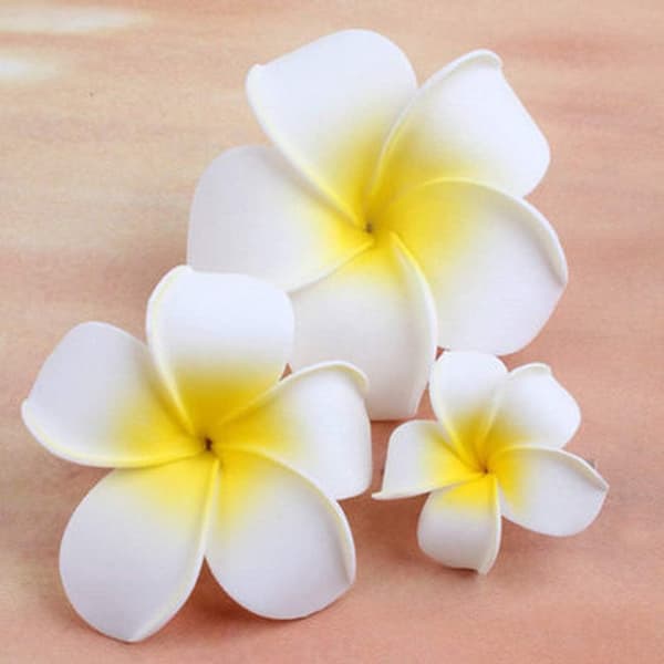 Skum Kunstig Frangipani Hawaiisk Hodeblader Dekorative Blomster 50 Stykker