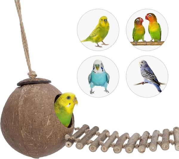 Naturlig kokosnøttskall hamstergjemmested fugle- og smådyrleke (hus med stige)