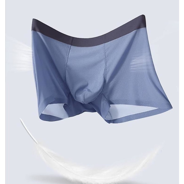 Herrunderkläder Is Silke Icke-märkning Antibakteriell Gren Andas Mesh Boxershorts (XXL) xxl