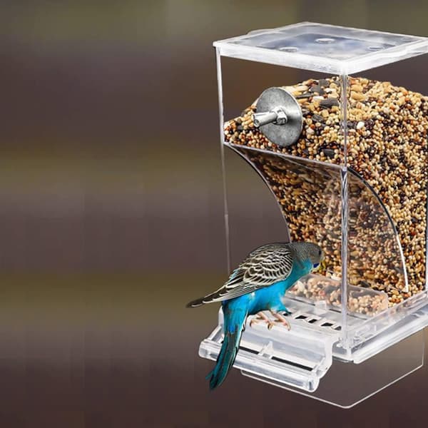 Sprutsikker automatisk fuglemater - Tilbehør til fuglebur