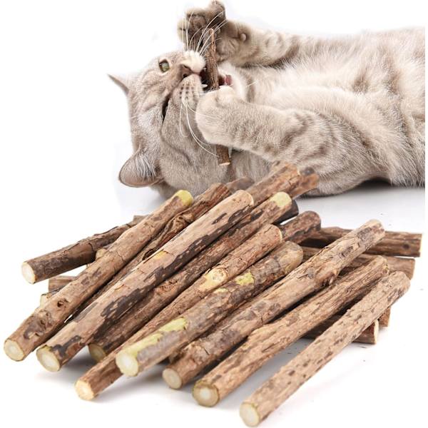 Katt Catnip Leksaker för Katter, Katt Leksak Pinne Naturlig Kattunge Tugga Leksak Tandvård Tandspricka Pinne för Katter, Pack om 20 st