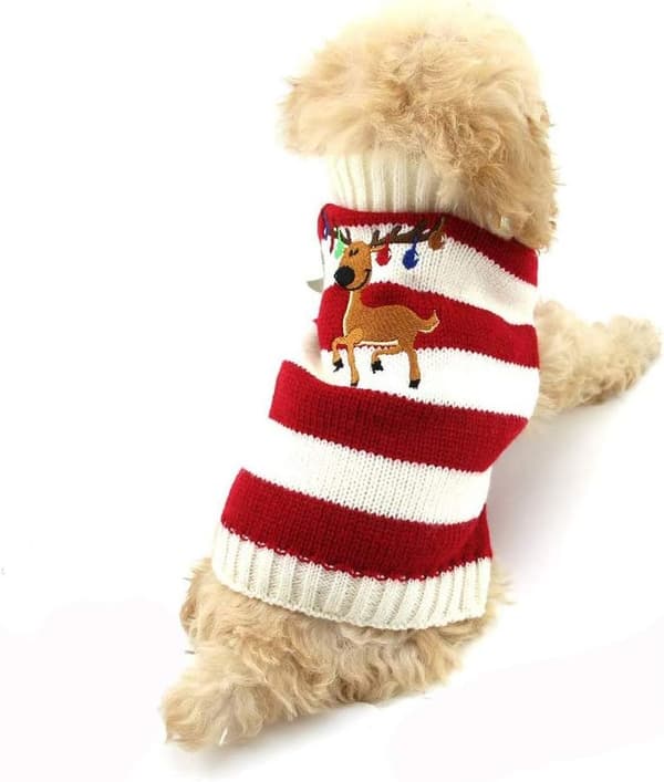 Hund juleklokke elg striktrøje kæledyr efterårs- og vintertøj (M, rød) red m