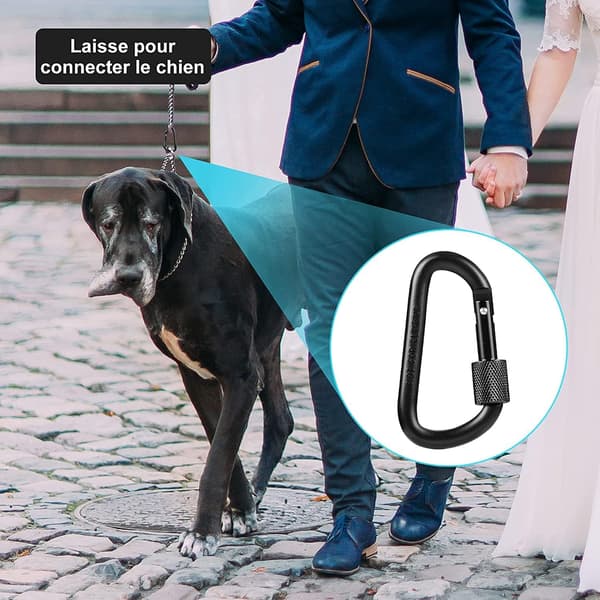 10-pack låsbara karbinhakar med D-form och fjäderbelastad grind i aluminium