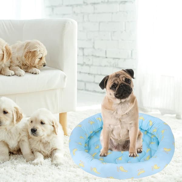 Kølemåtte Kat, 45 cm Rund Kølemåtte Hund, Kølemåtte Hund (Blå)