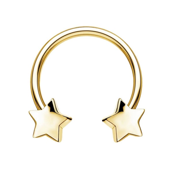 Star Horseshoe Nose Rings Septum Smycken Helix Tragus Daith Conc Silver Star