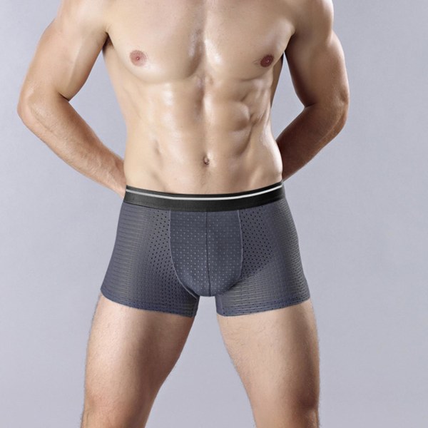 4-PACK för män Bamboo Wear Underkläder Shorts Ice Silk Mesh Boxer mix colorL 3XL