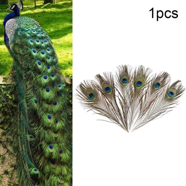 Naturliga långa påfågelfjädrar 10-12 tum långa, Pre-Steame Multi-colorA One-size