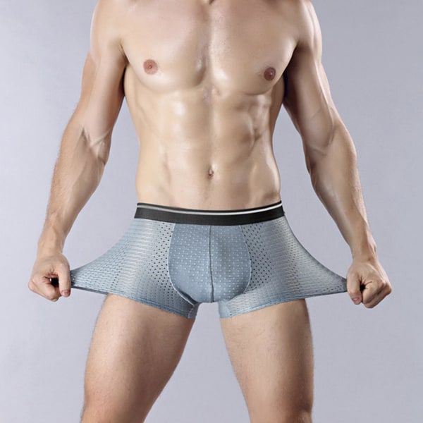 4-PACK för män Bamboo Wear Underkläder Shorts Ice Silk Mesh Boxer mix colorL 3XL