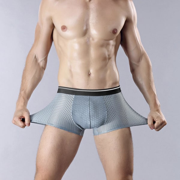 4-PACK för män Bamboo Wear Underkläder Shorts Ice Silk Mesh Boxer mix colorL L