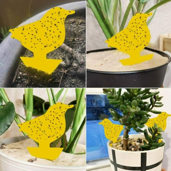 12st Klibbig flugfälla Pappersfälla Fruktflugor Insektslimfångare Sunflower 12PCS