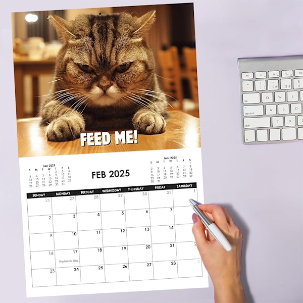 2025 Peed Off Cats Kalender Roliga Katttema Presenter För Kattälskare. 2025 Arg Kattkalender Personlig Kreativ Kalender Arg Katt