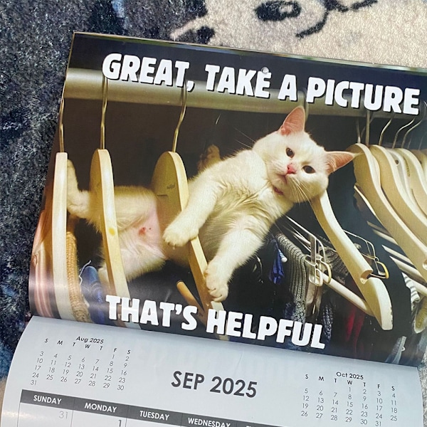 2025 Peed Off Cats Kalender Roliga Katttema Presenter För Kattälskare. 2025 Arg Kattkalender Personlig Kreativ Kalender Arg Katt