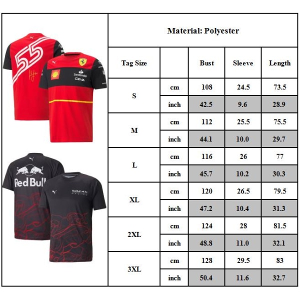Officiell Oracle Red Bull Racing Team Polotröja för Vuxna Formel 1 Kortärmad Topp E S