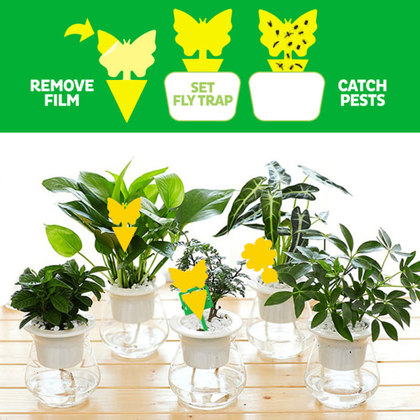 12st Klibbig flugfälla Pappersfälla Fruktflugor Insektslimfångare Butterfly 12PCS