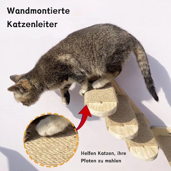 Klättervägg för katter, 4 våningar husdjurstrappa för vägg, kattstege i massivt trä, kattmöbel, för husdjurs klättring/lek/avkoppling