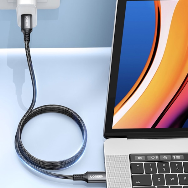 Ugreen US555 100W USB-C / USB-C PD cable 3 m - gray Gray