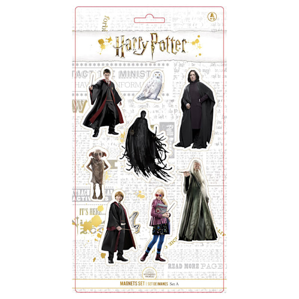 Harry Potter-karaktersett 8 magneter Multicolor