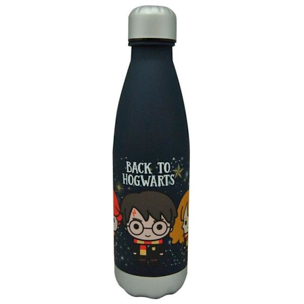 Harry Potter Back to Hogwarst bottle 650ml Multicolor