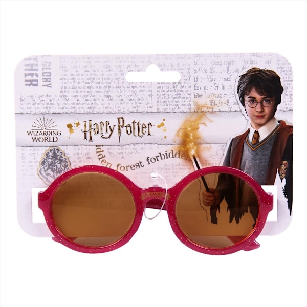 Harry Potter sunglasses multifärg