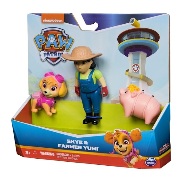 Paw Patrol Skye Hero Pups pack 2 figures Multicolor