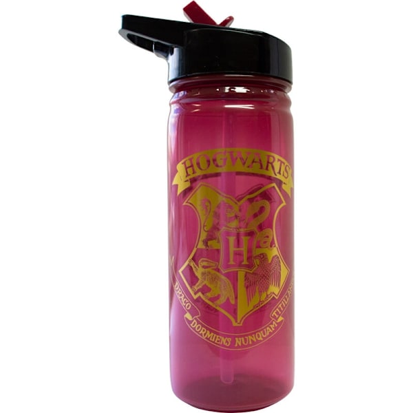 Harry Potter Hogwarts bottle 600ml Multicolor