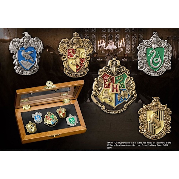 Harry Potter Pin Collection Tylypahkan talot (5) Multicolor