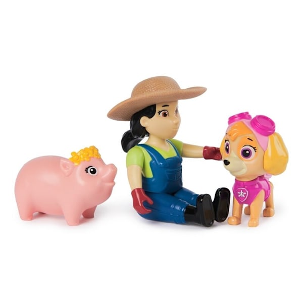 Paw Patrol Skye Hero Pups pack 2 figures multifärg