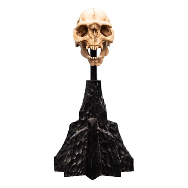 Lord of the Rings Mini Statue Skull of a Moria Orc 13 cm multifärg