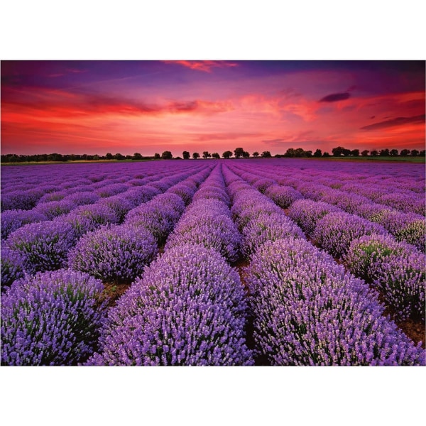 Pussel 1000 bitar för vuxna Provence Lavendelfält Pussel Lavendel Blommor Pussel Frankrike Landskap Pussel Lila Blommor Se Pussel