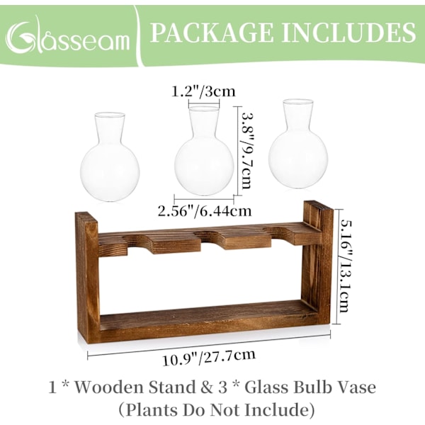 Glasvas i form av ett ekollon, glasbehållare blomkruka med träställ för placering av gröna vattenväxter, lämplig för dekoration av matbord och skrivbord i hemmet