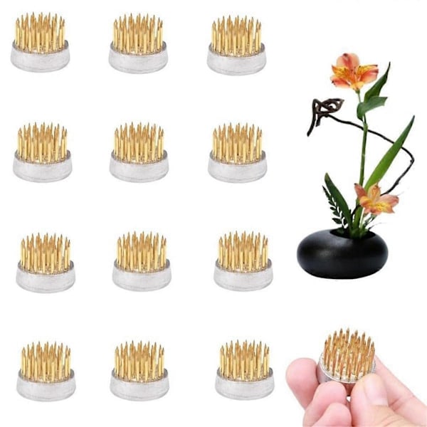 Blomstergrodor för arrangemang Hållare Blomstergroda Mässingsstiftgroda för klassrumsundervisning, hem, kontor