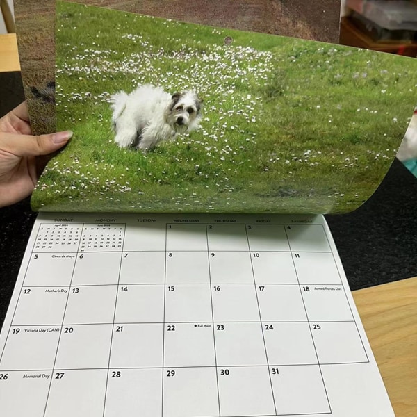 2024 Kalender med hundar som bajsar vackra platser | Väggkonst månatlig familjekalender | Kalender för hundpresenter Gag Hanging-C