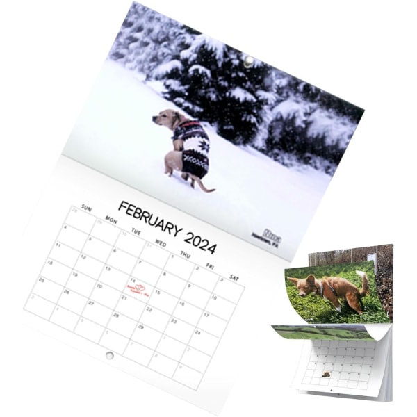 2024 Kalender med hundar som bajsar vackra platser | Väggkonst månatlig familjekalender | Kalender för hundpresenter Gag Hanging-B