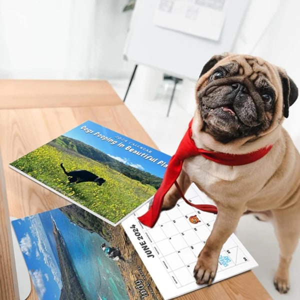 2024 Kalender med hundar som bajsar vackra platser | Väggkonst månatlig familjekalender | Kalender för hundpresenter Gag Hanging-A