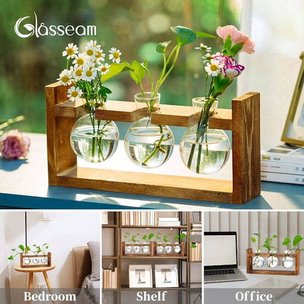 Glasvas i form av ett ekollon, glasbehållare blomkruka med träställ för placering av gröna vattenväxter, lämplig för dekoration av matbord och skrivbord i hemmet