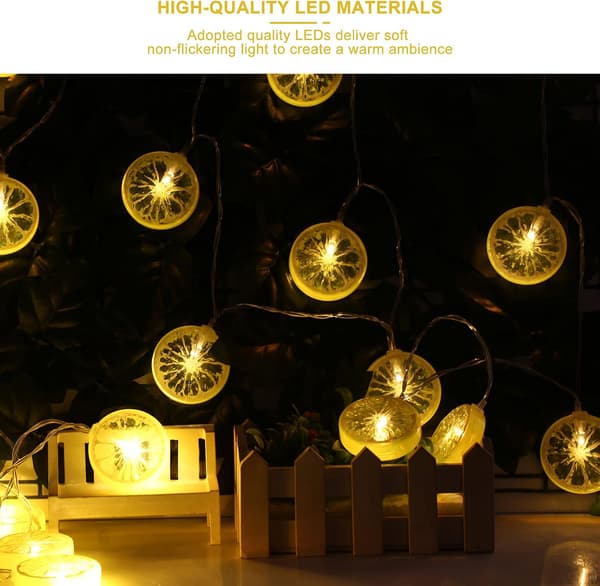 Fruit String Lights Orange Lemon Chips Outdoor String Lights Battery Operated