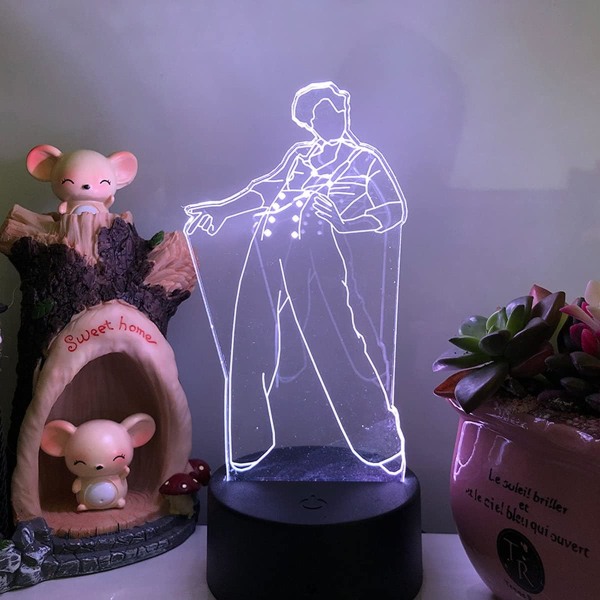 Harry Styles3D LED liten nattlampa Fjärrkontroll Arbetslampa Barnsovrumsdekoration Bordslampa Semesterpresentlampa
