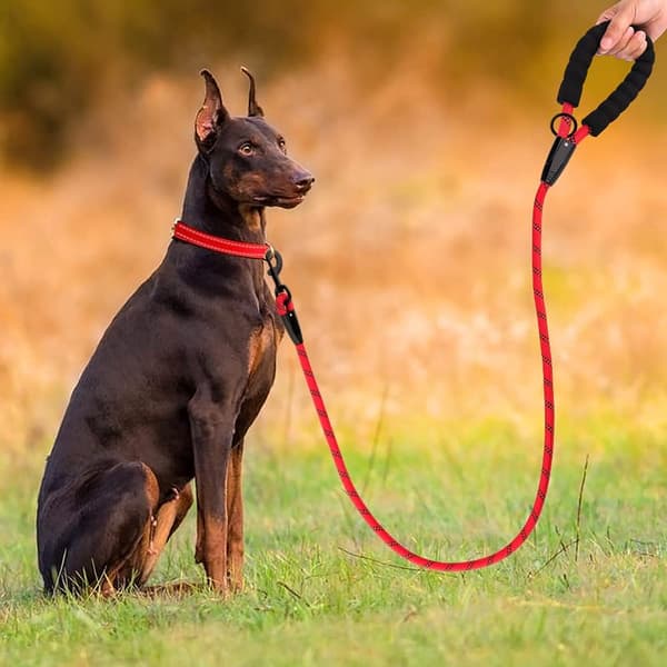 High-Performance Rope Dog Leash with Comfortable Padded Handle, Strong Reflective and Robust 4/5/6 ft Dog Leash for Small, Medium, and Large Dogs