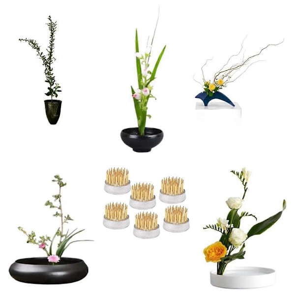 Blomstergrodor för arrangemang Hållare Blomstergroda Mässingsstiftgroda för klassrumsundervisning, hem, kontor