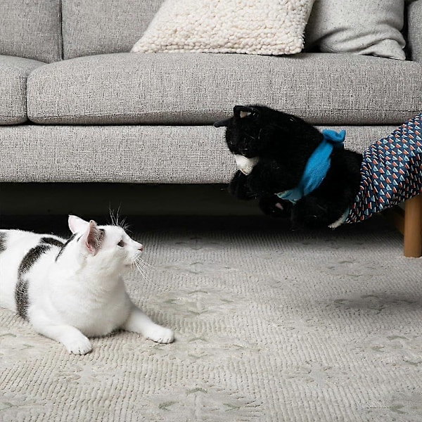 Katte Dukke Bryder, Katte Hånddukker Plysdyr, med Kraftig Polstring for Sikker Interaktiv Leg, til Kedsomhedsbekæmpende Træning og Motion 3PCS