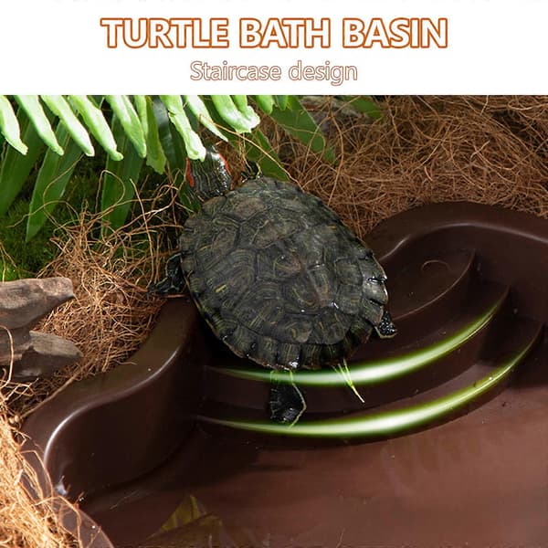 Skildpaddebad med trin, foderbakke til padder, klatreplatform, solterrasse, tilbehør til krybdyrhabitat, mørkebrun Dark brown