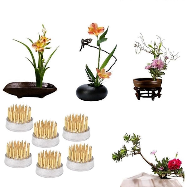 Blomstergrodor för arrangemang Hållare Blomstergroda Mässingsstiftgroda för klassrumsundervisning, hem, kontor