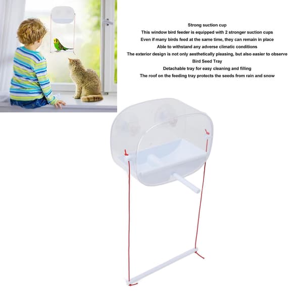 Vinduesfuglefoderbræt, gennemsigtigt, sugekopper