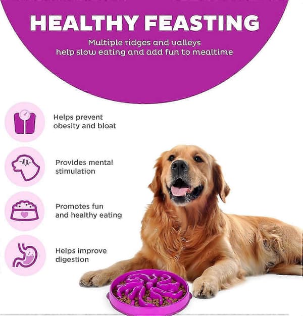 DLM Outward Hound Fun Feeder Slo Bowl, langsom foder-skål til hunde, stor/almindelig, lilla A