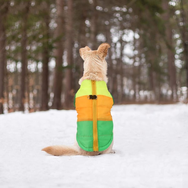 Pet Hund Kattrock med koppel Ankare Färg Patchwork Vadderad valpväst Jacka Teddy Chihuahua Kostymer Mopsduk XS S M L (stor (förpackning med 1), grön)