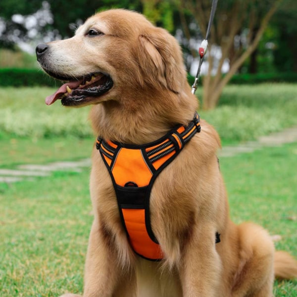 Hunde sele, trekksele for hund med 1 kobbelklips, justerbar myk polstret hundevest - oransje - S