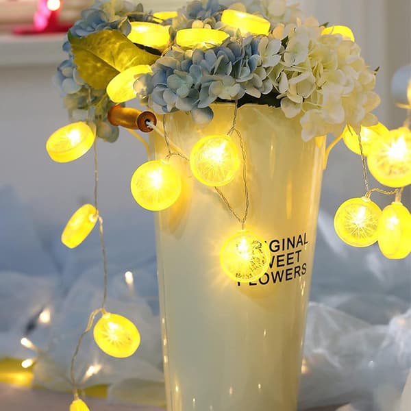 Fruit String Lights Orange Lemon Chips Outdoor String Lights Battery Operated