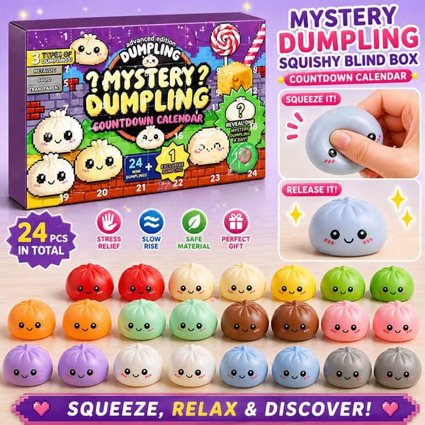 Dumpling Squishy, 2026 Mystery Dumpling Squishies Countdown Calendar, 24 Pcs Random Surprise Dumpling Squishies, Stress Relief Sensory