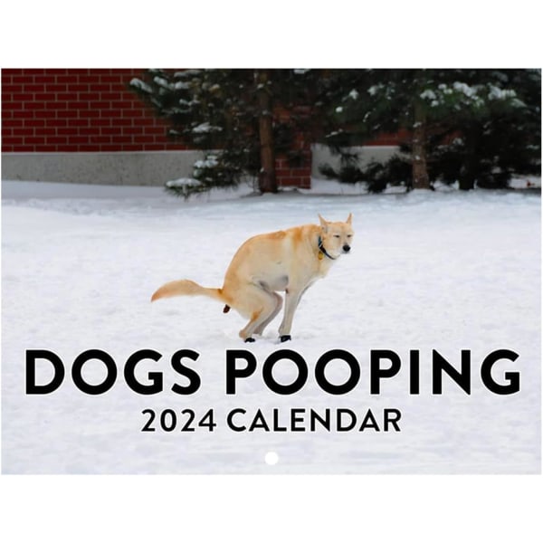 2024 Kalender med hundar som bajsar vackra platser | Väggkonst månatlig familjekalender | Kalender för hundpresenter Gag Hanging-C